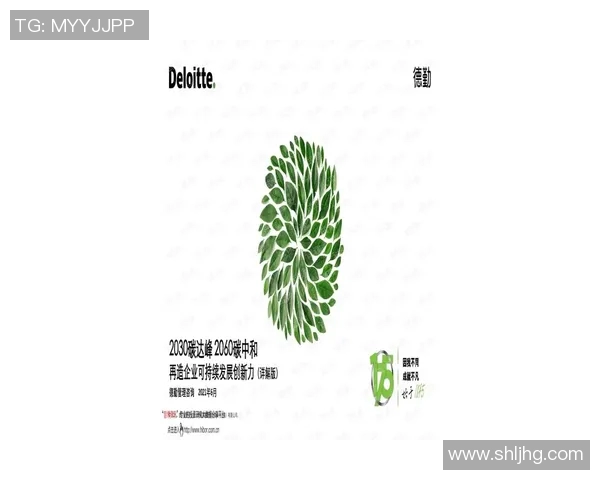 重磅专题:探索液化天然气在能源转型中的创新与应用前景